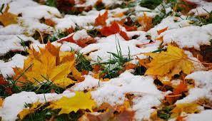 Ropa de invierno